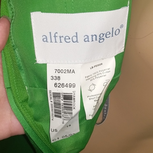 Alfred Angelo MATERNITY Dress - Picture 5 of 5